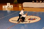 2006 04 01 acro val marne 088